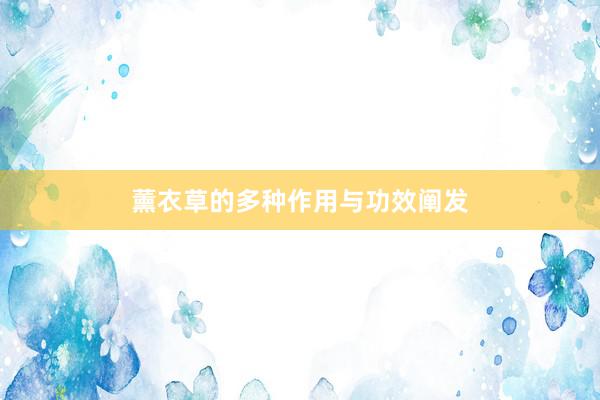 薰衣草的多种作用与功效阐发