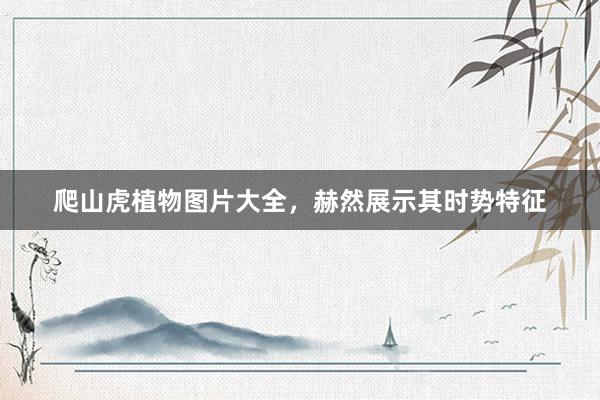 爬山虎植物图片大全，赫然展示其时势特征